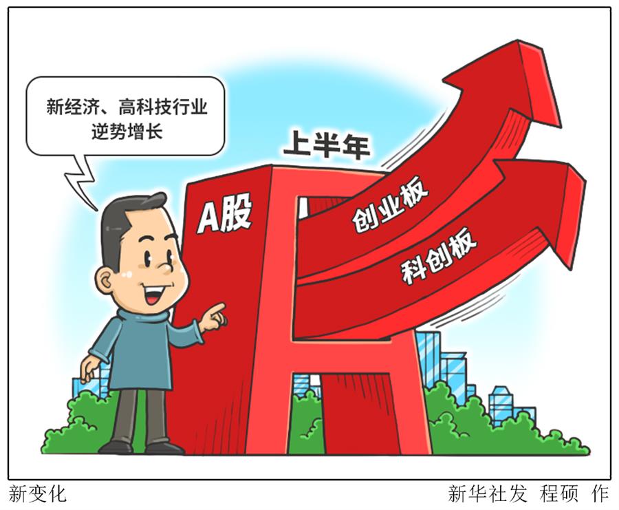 （圖表 漫畫）〔財經聚焦 上市公司半年報〕新變化