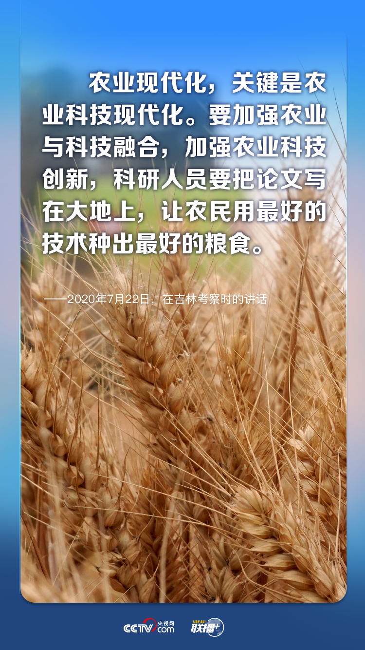 聯播+ 給農業插上科技的翅膀 總書記這樣謀劃