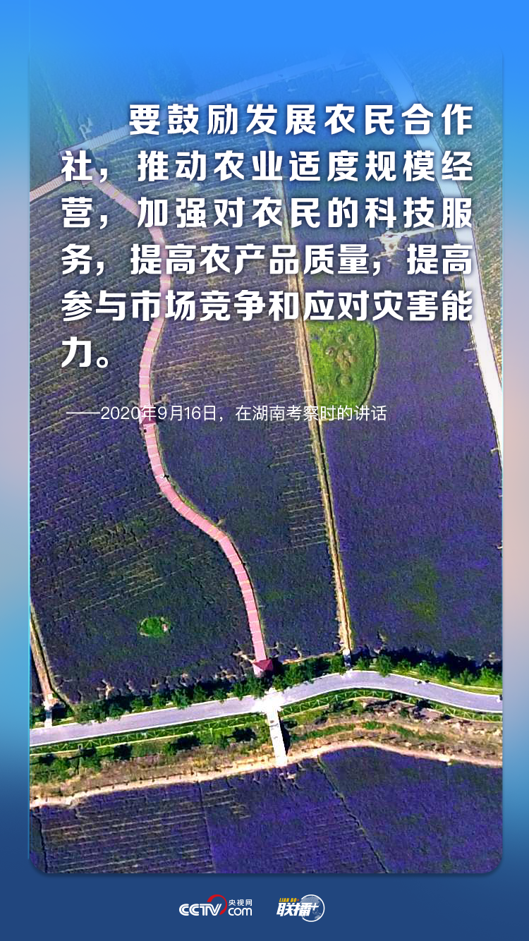 聯播+ 給農業插上科技的翅膀 總書記這樣謀劃