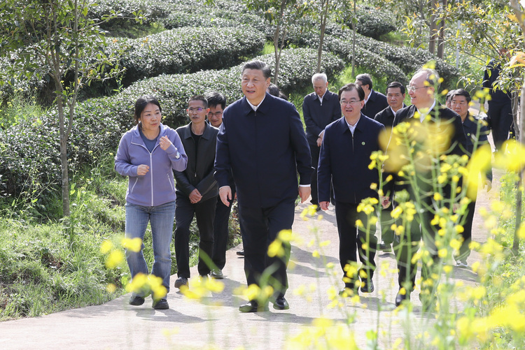 “這裡的山山水水、一草一木，我深有感情”