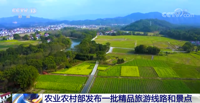 鄉村振興全面推進 休閒農業持續升溫