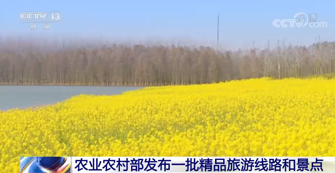 鄉村振興全面推進 休閒農業持續升溫