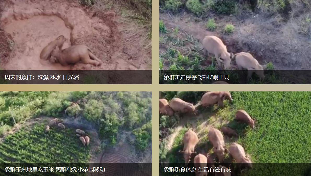 360截圖20210620081324585.jpg