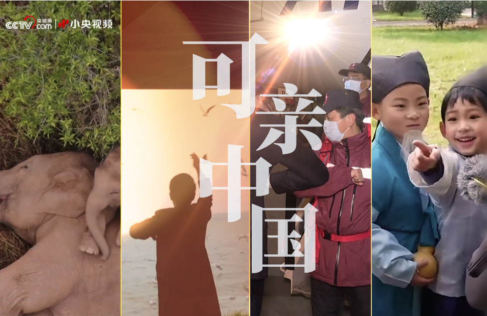 截屏2021-06-27 上午8.39.25.png