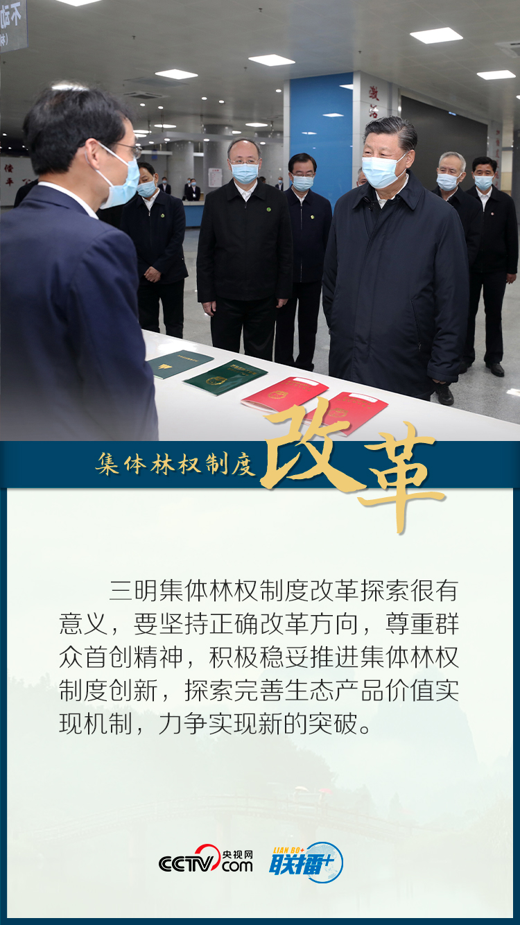 聯播+ | 仲春八閩行 總書記特意囑託這些事