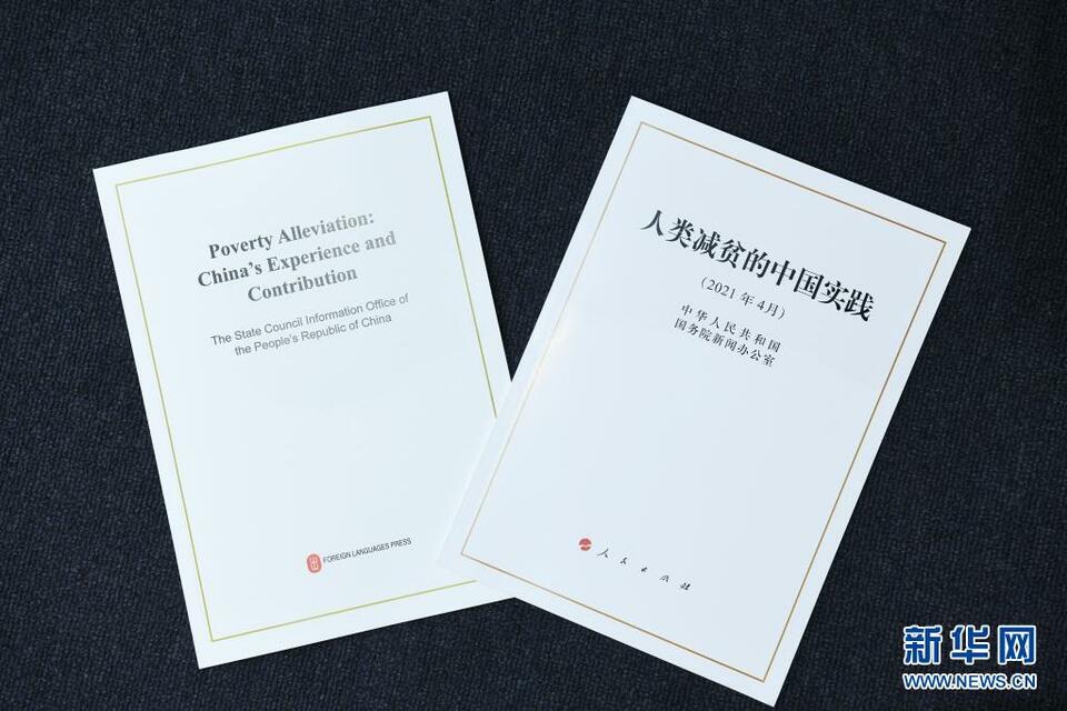 中國發佈減貧白皮書，外國網友紛紛表示敬（羨）佩（慕）