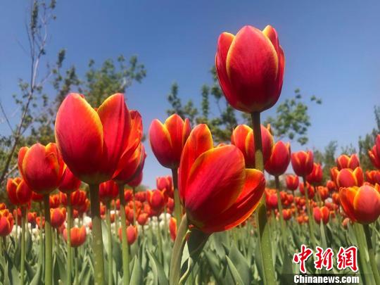 點擊進入下一頁