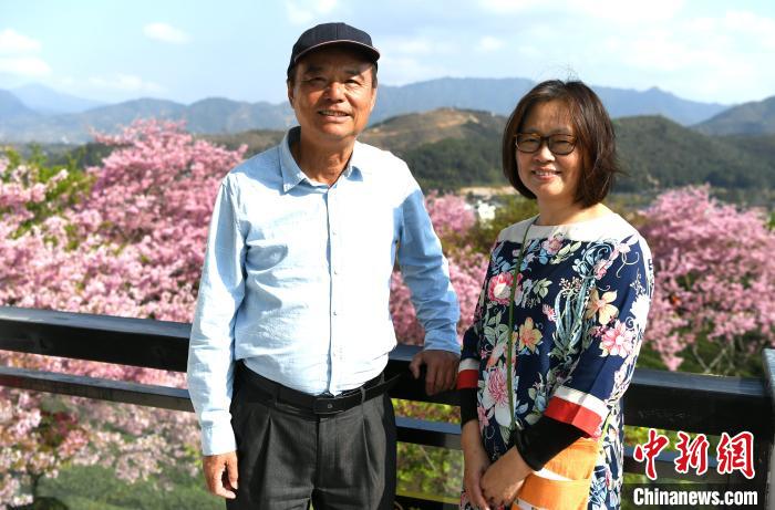 在櫻花盛開期，台商謝東慶一家人都會在茶園的接待大廳裏，熱情地招呼大家品茶賞櫻。　王東明 攝