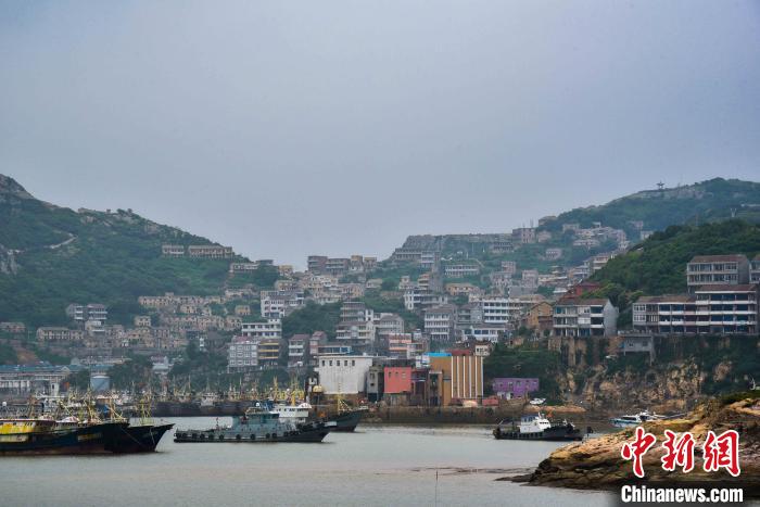 兩岸浙江溫嶺鄉親“雲”交流話鄉情期待第31次返鄉見面
