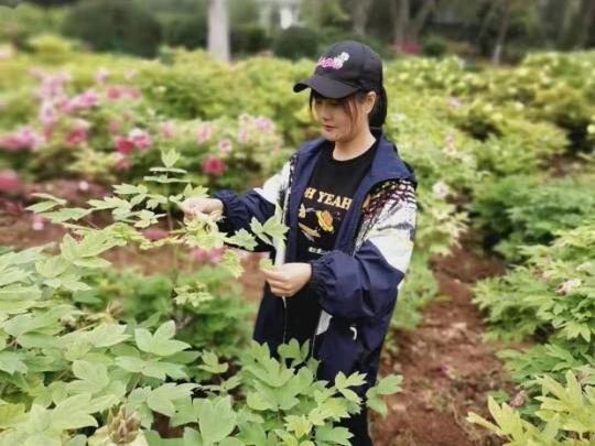 點擊進入下一頁