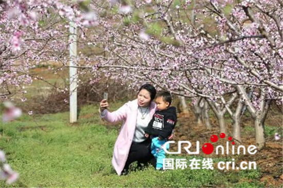 中國春分遇上國際幸福日 幸福如花般綻放_fororder_河南省光山縣邱大灣村，桃花園裏幸福多2【攝影：杜青】