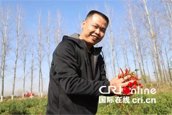 中國春分遇上國際幸福日 幸福如花般綻放_fororder_信陽市龍崗村第一書記、河南省供銷社發改處副處長李濤捧著豐收的辣椒，樂開了花【攝影：代盼盼】
