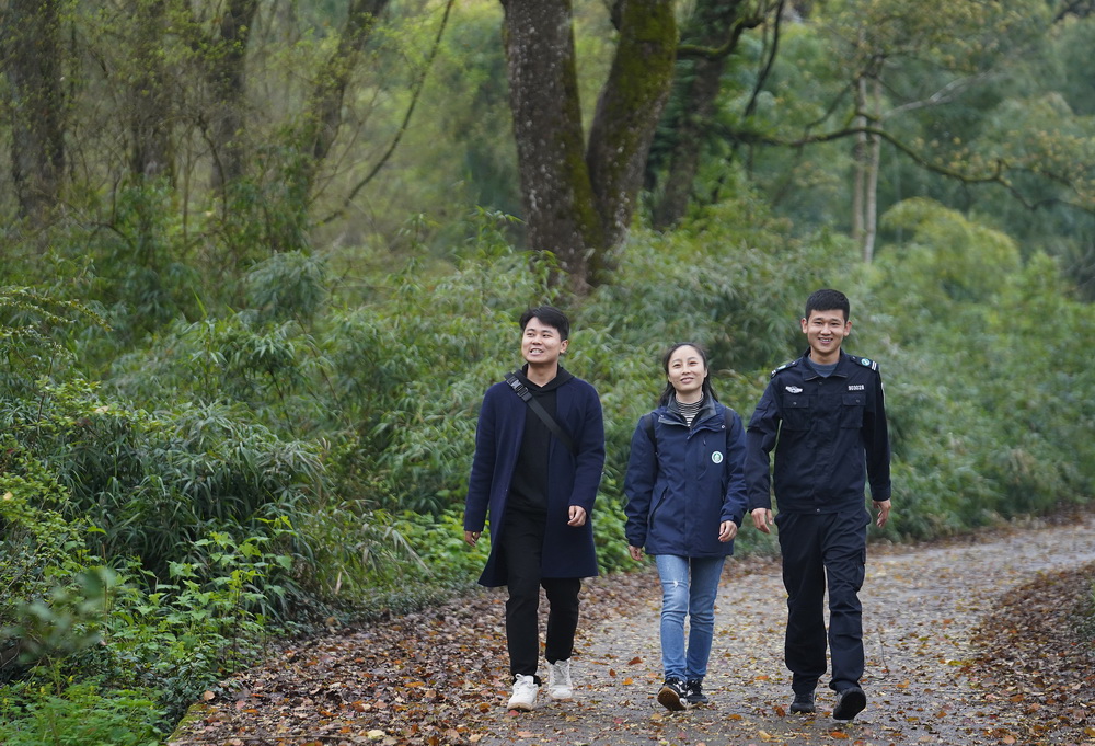 陳亮亮(右)、鄒鴻堰(中)和湯勇在森林中行走(3月18日攝)。新華社記者 萬象 攝