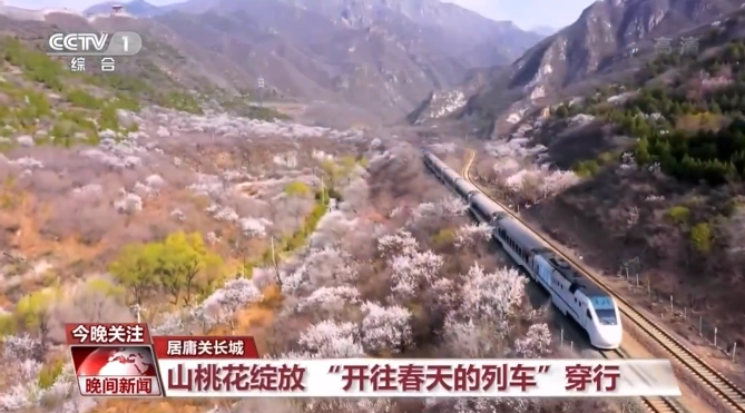清明小長假都去哪玩了？大數據告訴你：旅遊回暖 消費旺！